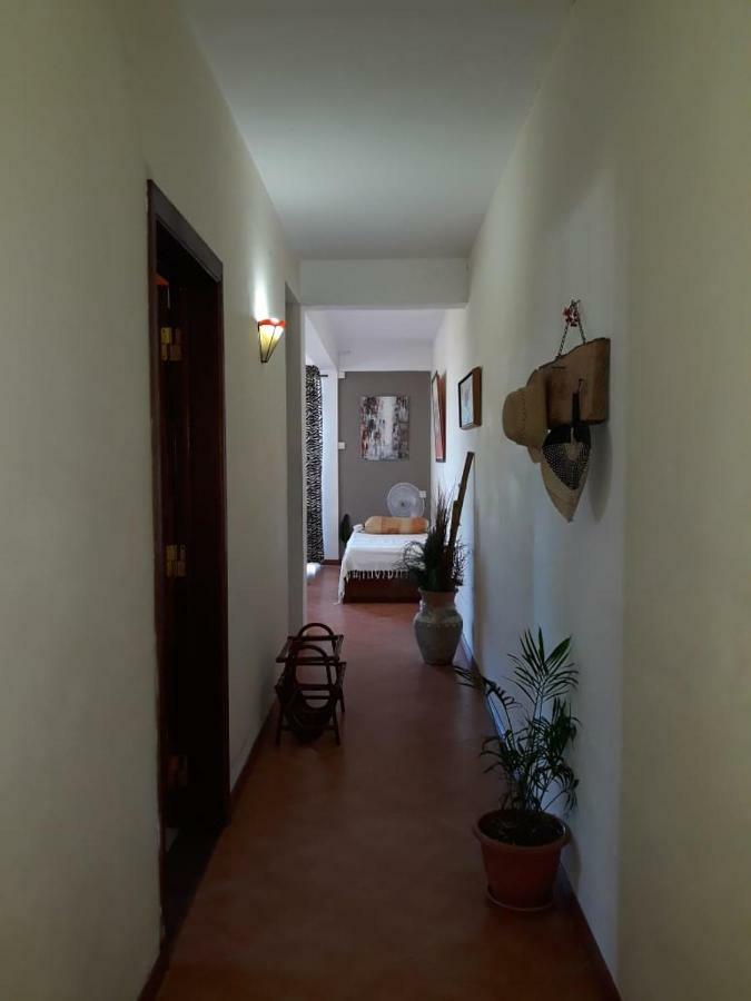 Pereybere Marlin Studio Apartment Pereybere Beach Екстериор снимка